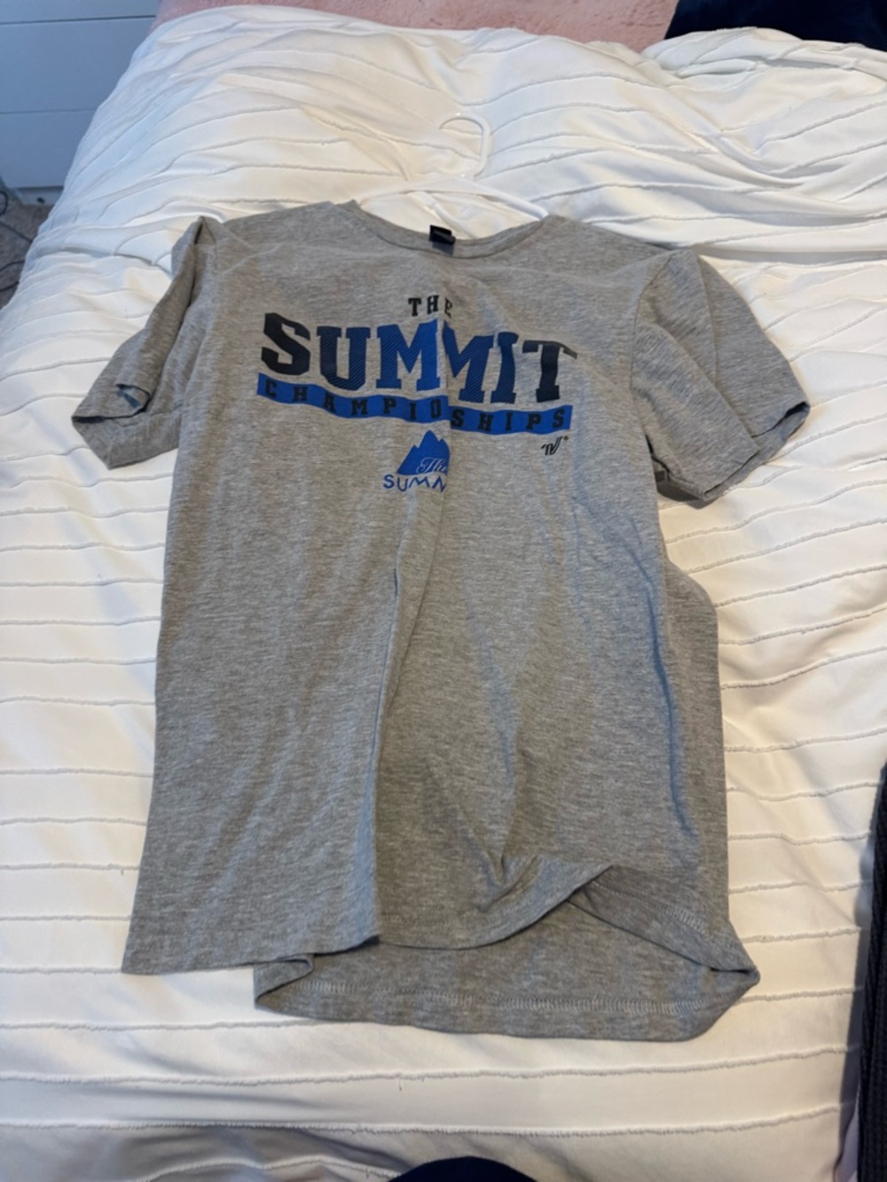 Varsity Grey Tee with Blue and Black Summit Graphic